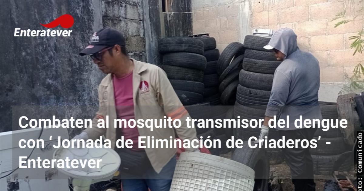 Combaten al mosquito transmisor del dengue con ‘Jornada de Eliminación ...