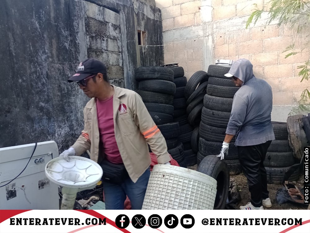 Combaten al mosquito transmisor del dengue con ‘Jornada de Eliminación ...